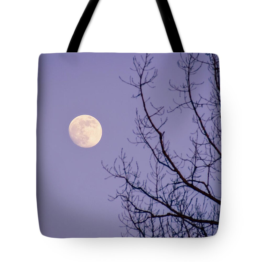 Full Moon Tote Bag featuring the photograph January Moonshine by Susie Loechler
