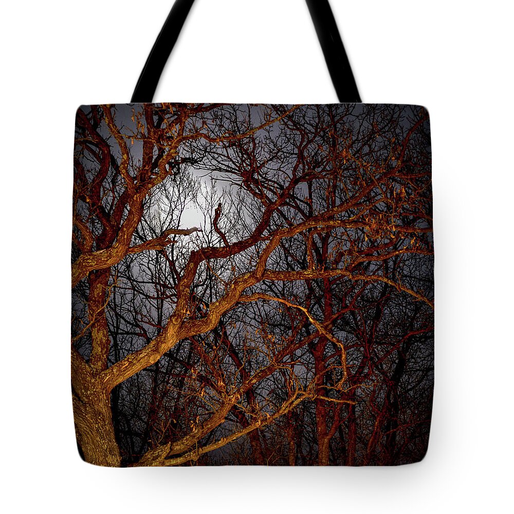 Full Moon Tote Bag featuring the photograph Moonshine by Susie Loechler
