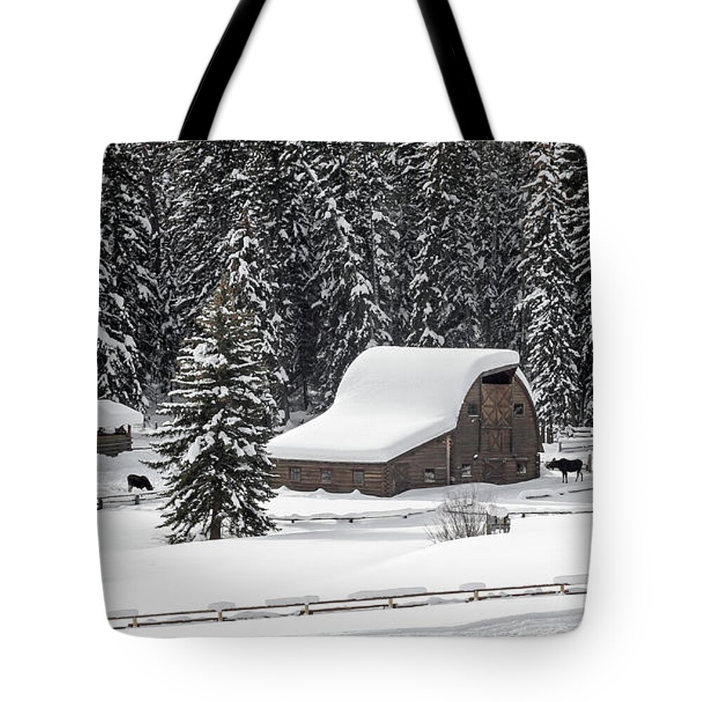 Snow Tote Bag featuring the photograph Moose Ranch by Ronnie And Frances Howard