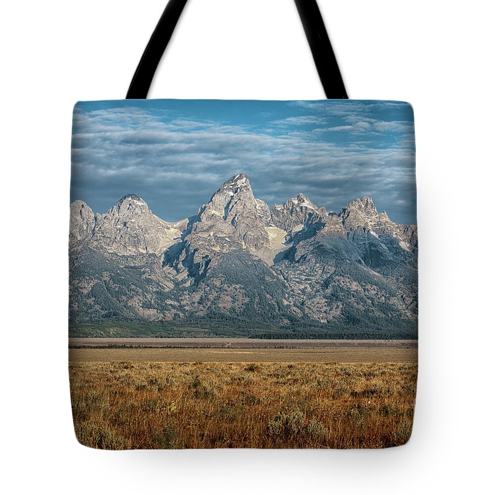 Landscape Tote Bag featuring the photograph Morning Beauty by Sandra Bronstein