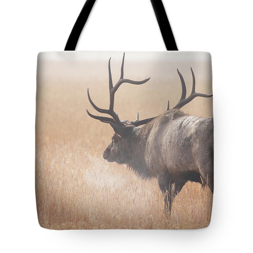 Elk Tote Bag featuring the photograph Morning Breath by Darren White