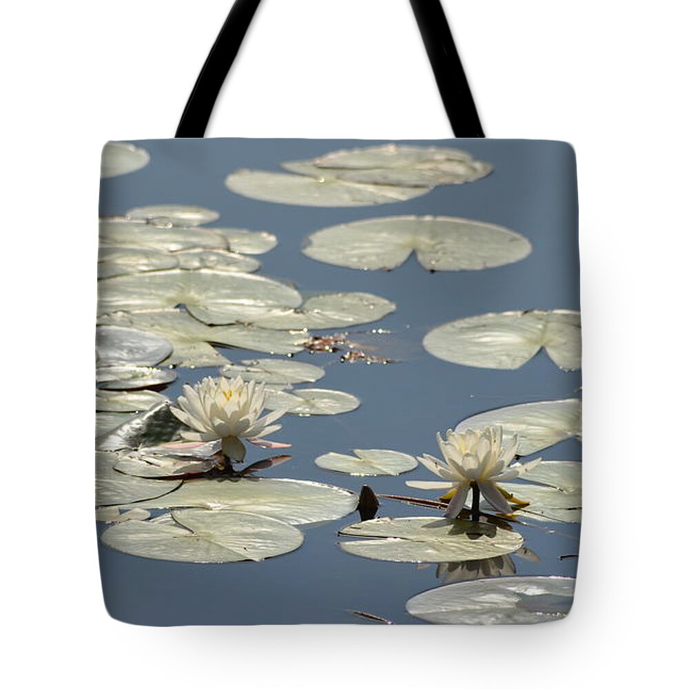 Water Lily Tote Bag featuring the photograph Morning Brilliance by Carla Parris