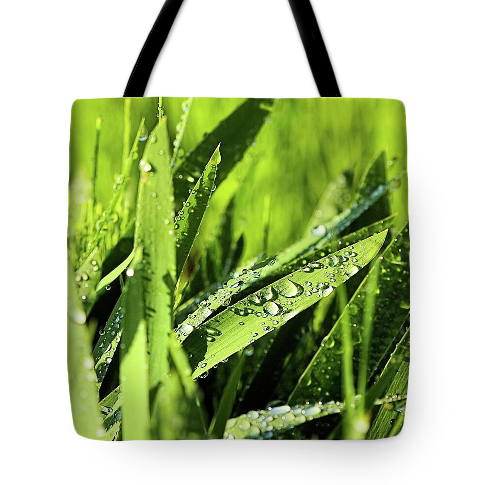 Racine Tote Bag featuring the photograph Morning Dew I by Scott Olsen