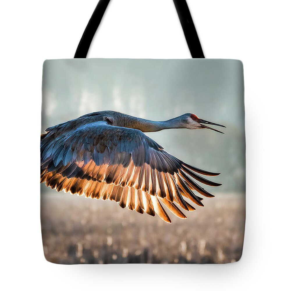 Crane Tote Bag featuring the photograph Morning Flight by Brad Bellisle