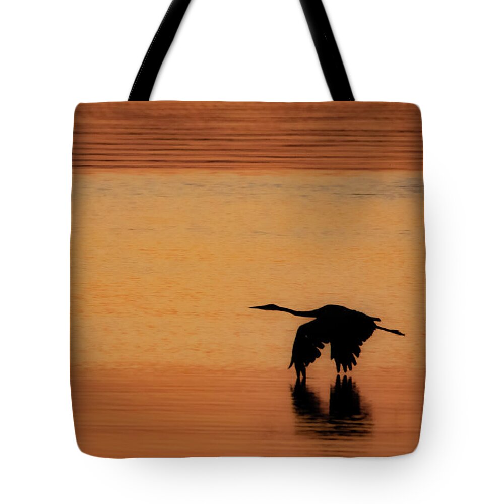 Evergreen Lake Tote Bag featuring the photograph Morning Flight by Ray Silva
