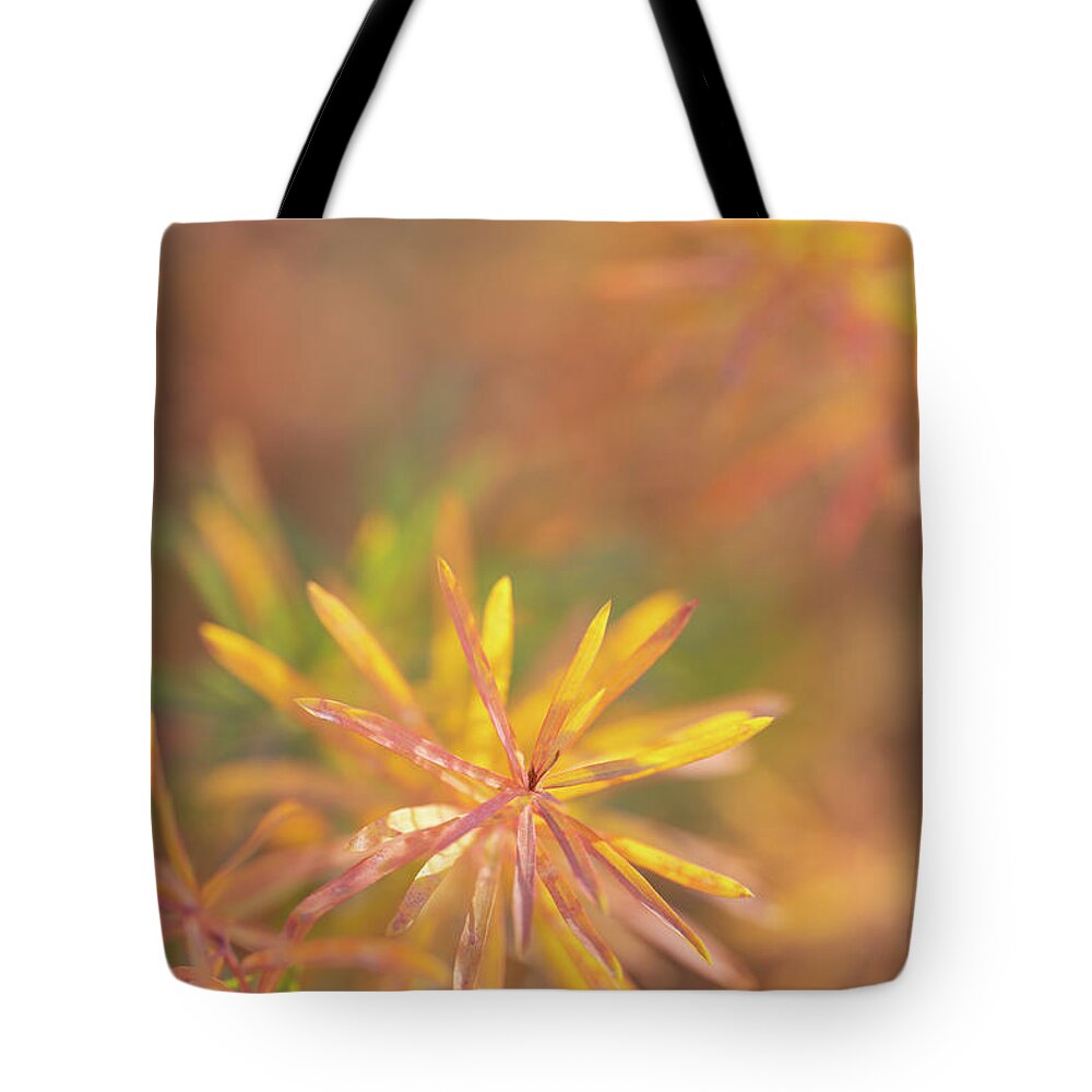 Macro Tote Bag featuring the photograph Morning Fresh by Darren White