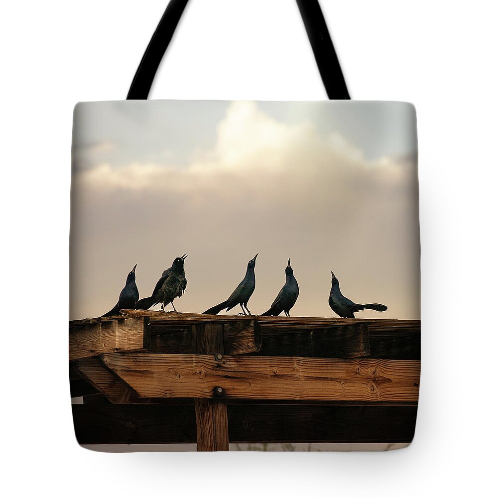 Betty Depee Tote Bag featuring the photograph Morning Homage by Betty Depee