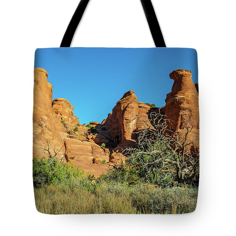 Arches National Park Tote Bag featuring the photograph Morning Hoo Doos by Ron Long Ltd Photography