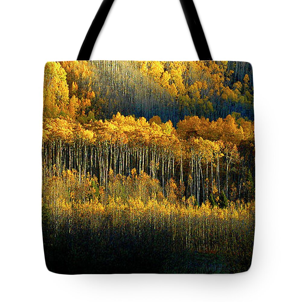Aspen Tote Bag featuring the photograph Morning Kiss by Jill Westbrook