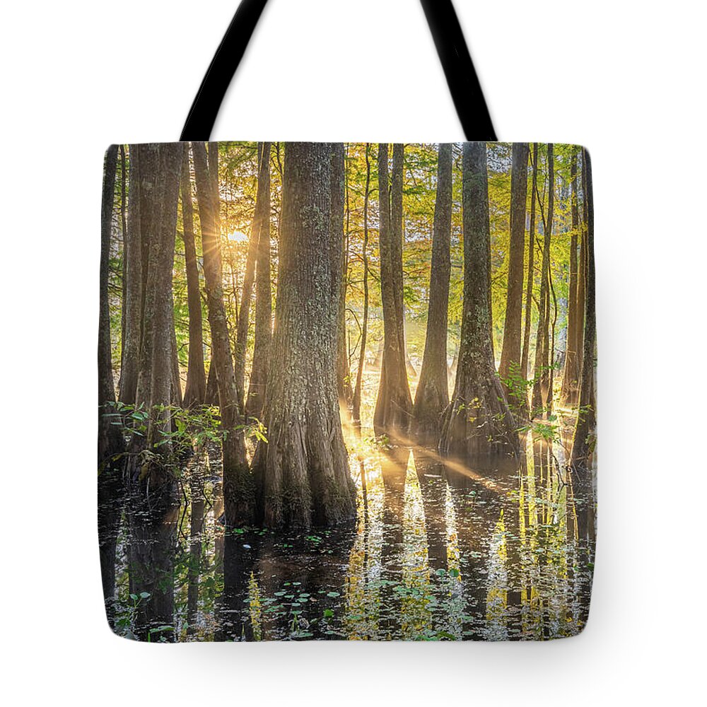 Noxubee National Wildlife Refuge Tote Bag featuring the photograph Morning Light At Noxubee National Wildlife Refuge by Jordan Hill