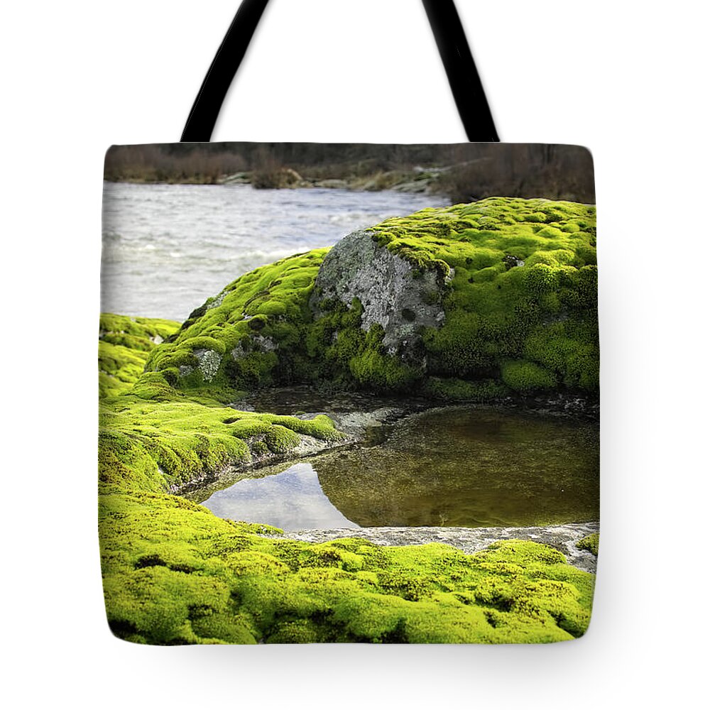 The Rouge River Tote Bag featuring the photograph Morning Light on the Green by Theresa Fairchild