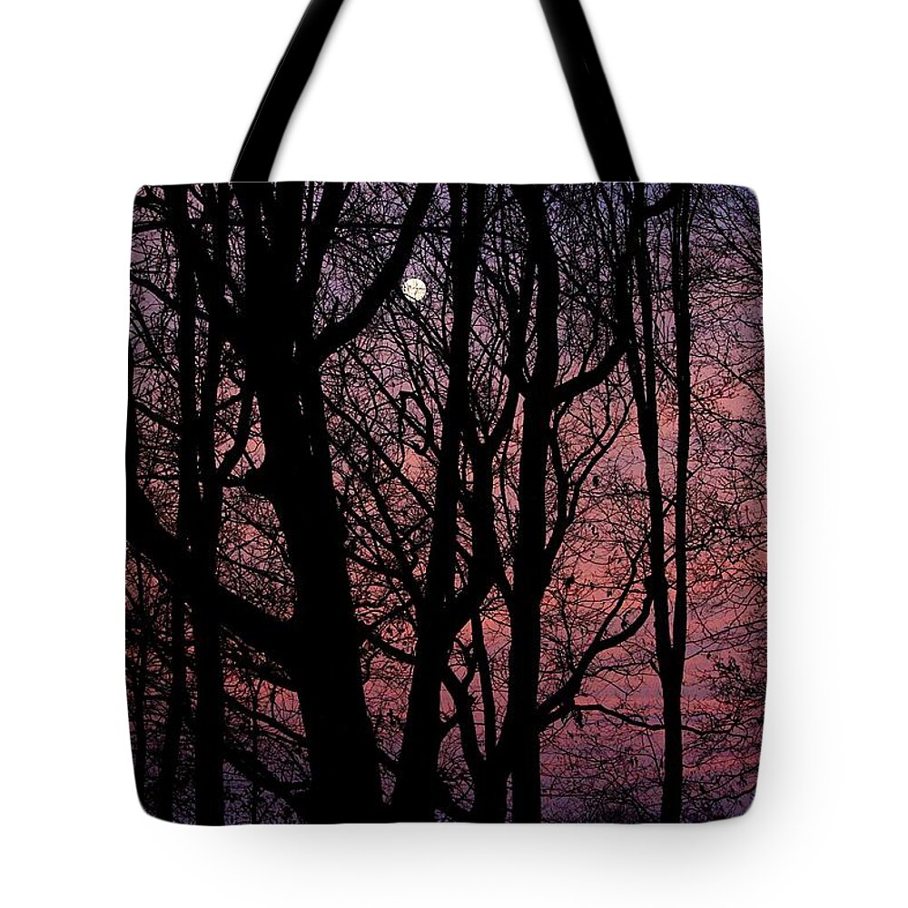 Moon Tote Bag featuring the photograph Morning Moon by Mary Walchuck