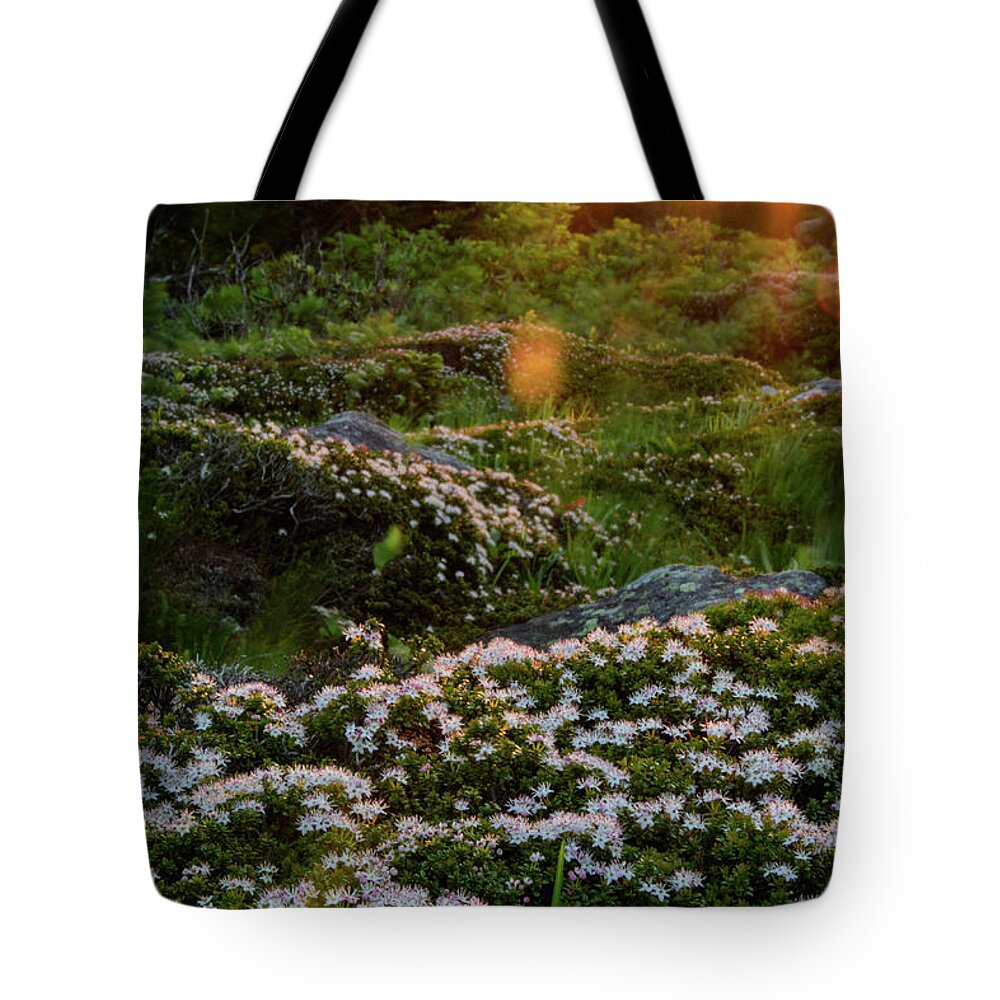 Blue Ridge Mountains Tote Bag featuring the photograph Morning Rays by Melissa Southern
