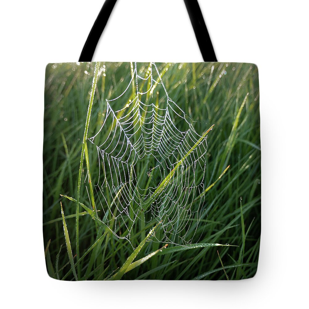 Spider Tote Bag featuring the photograph Morning Spider Web by Karen Rispin