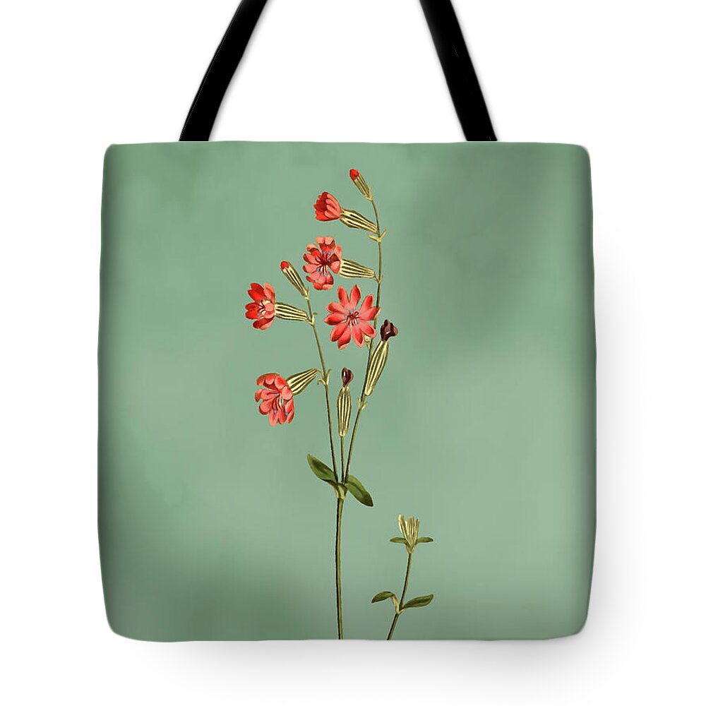 Morocco Catchfly Tote Bag featuring the mixed media Morocco Catchfly Flower on Misty Green With Dry Brush Effect by Movie Poster Prints