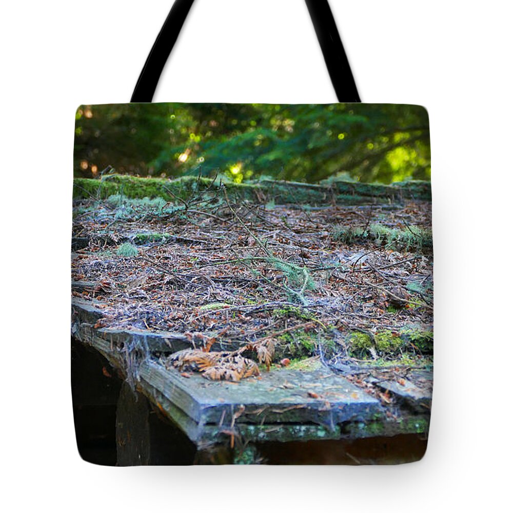 Fstop101 Forest Moss Pine Needs Abstract Nature Green Brown Tote Bag featuring the photograph Moss and Pine Needles by Geno