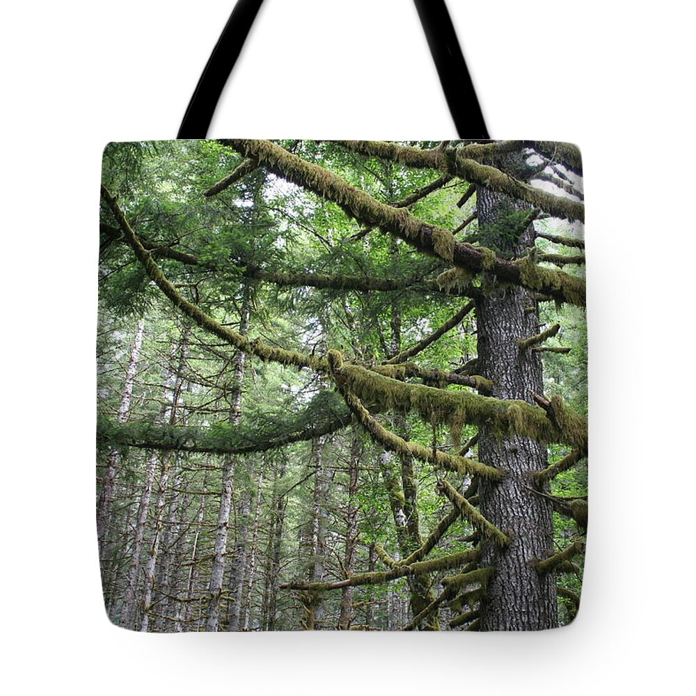 Blaine Moss Tote Bag featuring the photograph Blaine Moss by Dylan Punke
