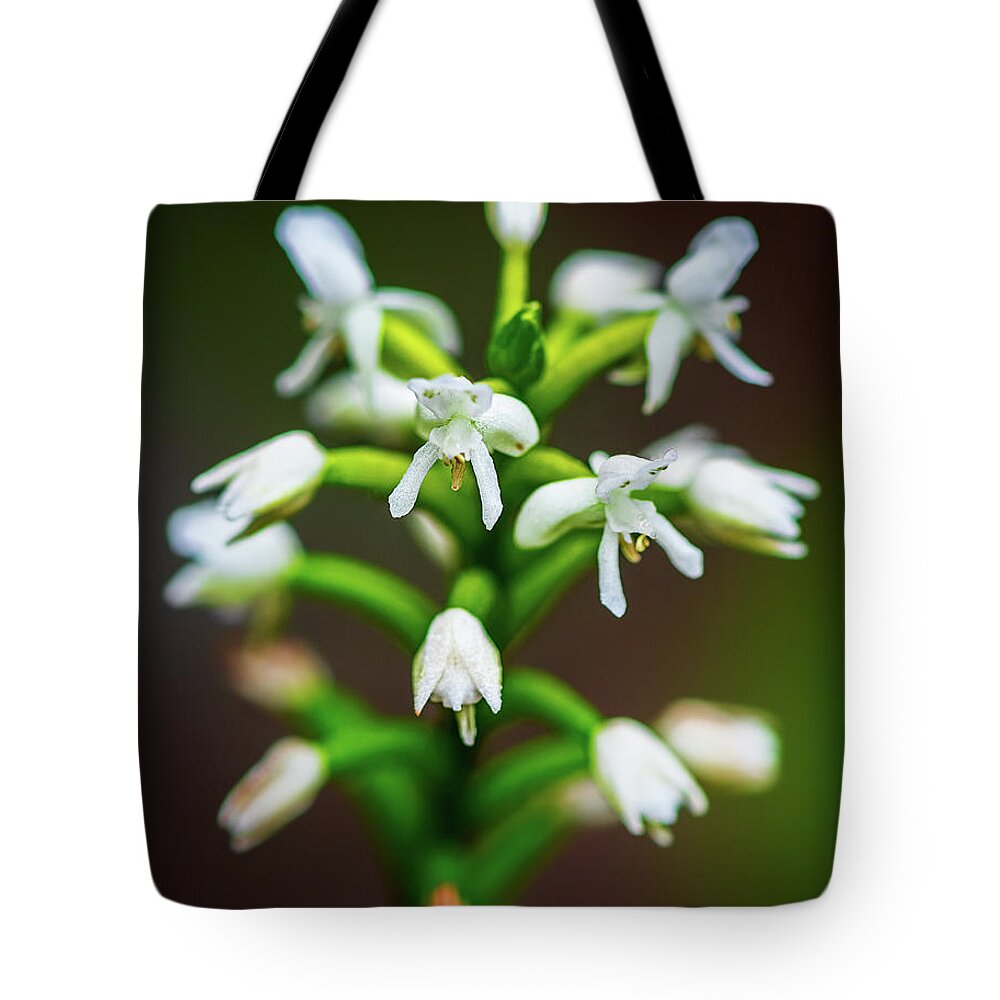 Cranichis Muscosa Orchid Tote Bag featuring the photograph Moss Loving Cranichis Closeup by Rudy Wilms