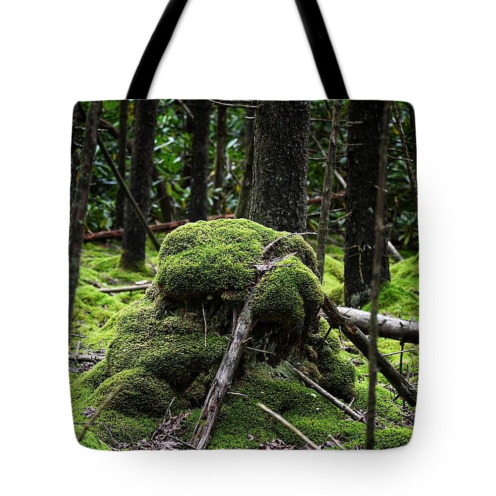 Photo Tote Bag featuring the photograph Mossy Rock by Evan Foster
