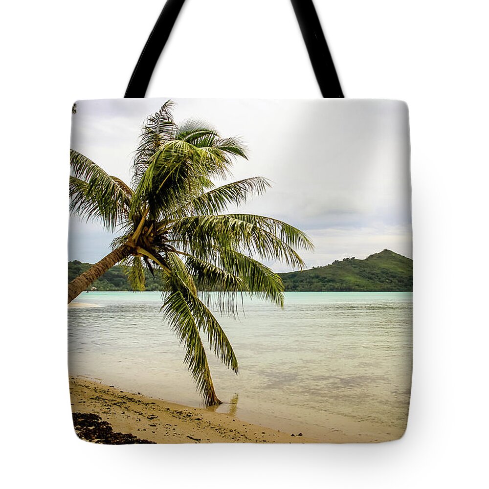 Palm Tote Bag featuring the photograph Motu Palm by Craig A Walker