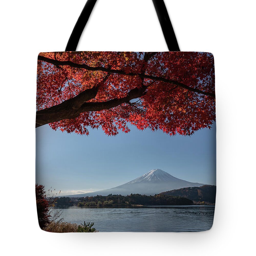 Asia Tote Bag featuring the photograph Mount Fuji with a red maple tree in the foreground by Anges Van der Logt