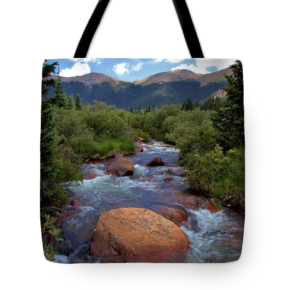 Mountains Tote Bag featuring the photograph Mountain Creek by Bob Falcone