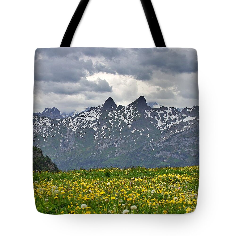 Switzerland Tote Bag featuring the photograph Mountain Fields by Yvonne M Smith