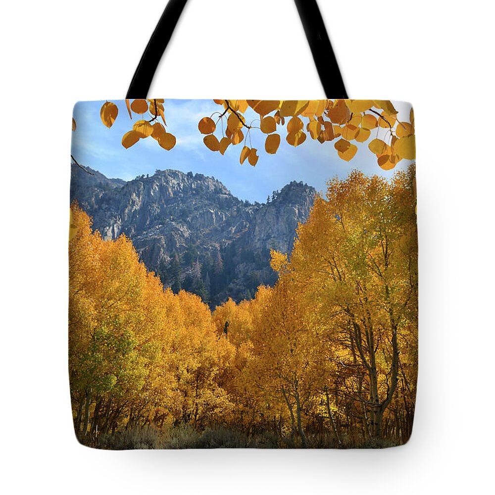 Autumn Tote Bag featuring the photograph Mountain Gates of Glory by Brian Tada