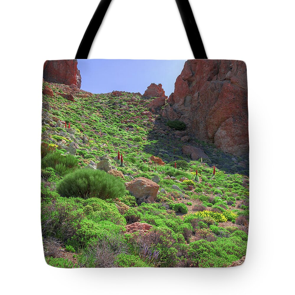 Mountains Tote Bag featuring the photograph Mountain meadow with buglosses by Sun Travels