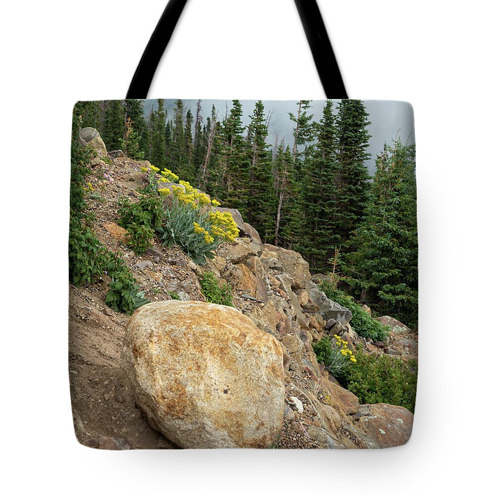 Adventure Tote Bag featuring the photograph Mountainside Wildflowers by Cindy Robinson