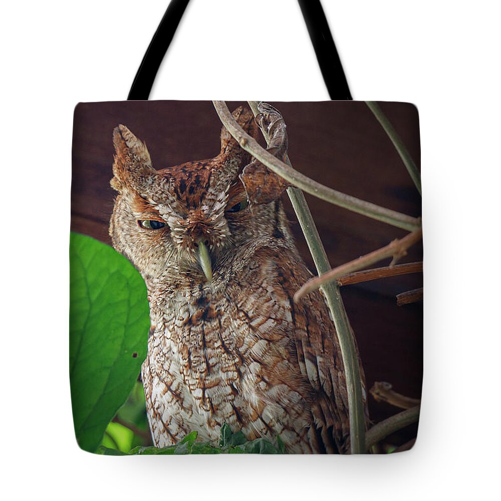Owl Tote Bag featuring the photograph Move on by Les Greenwood