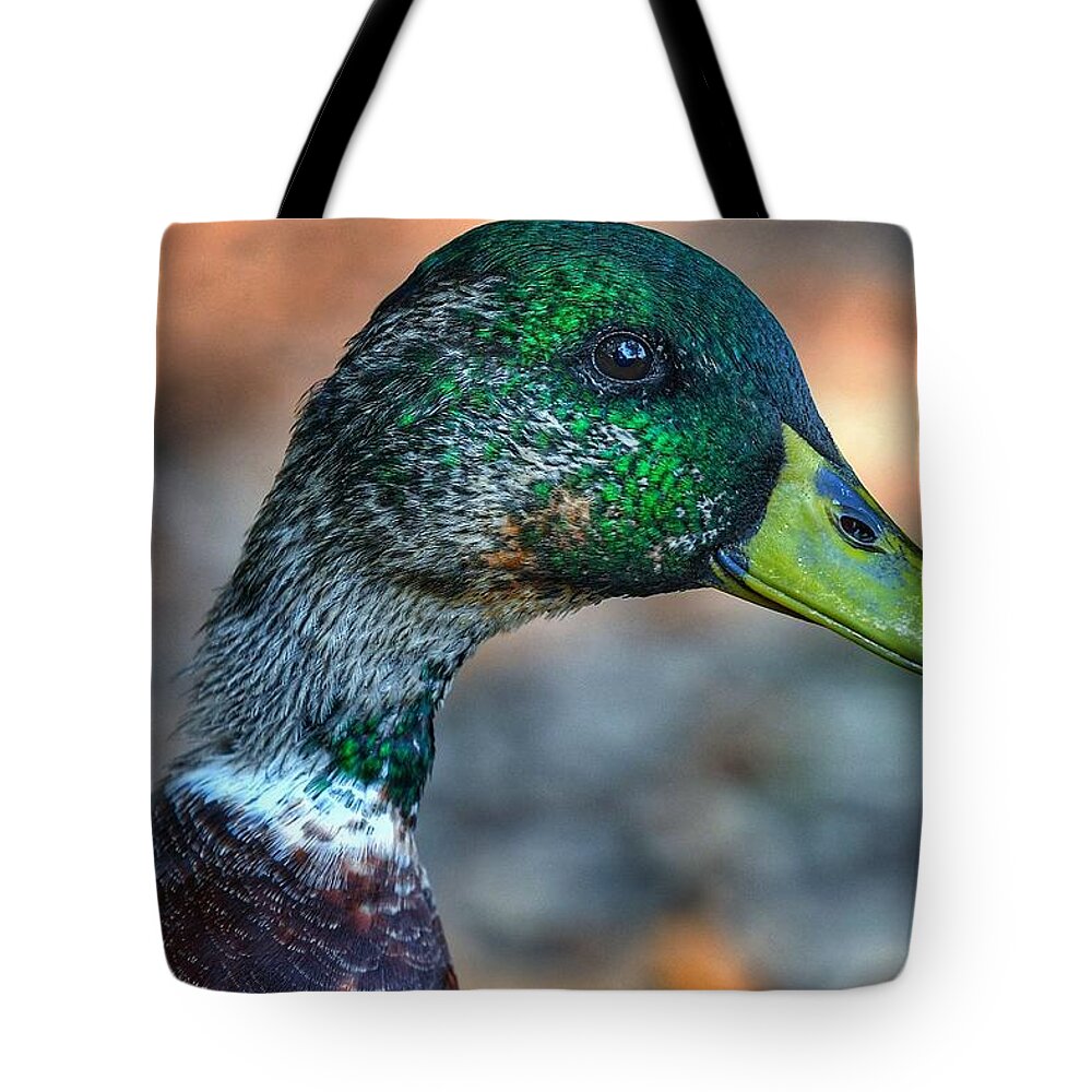 Photo Tote Bag featuring the photograph Mr. Mallard by Evan Foster
