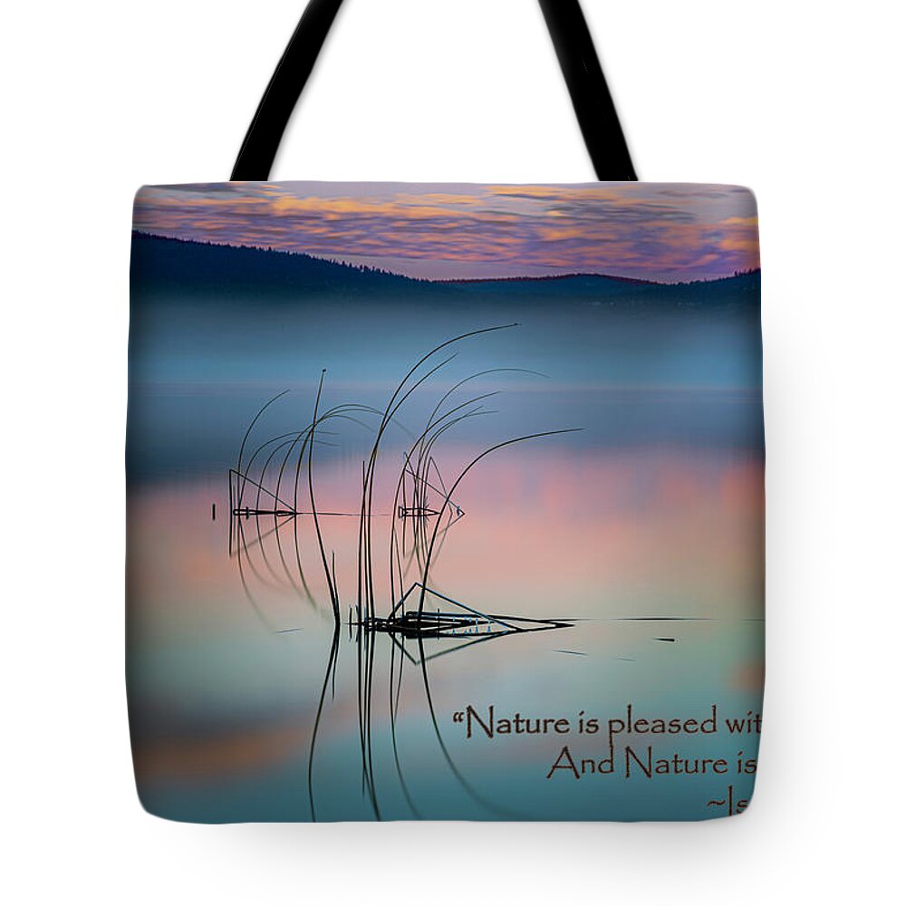 Tule Tote Bag featuring the photograph Mr. Newton's Wisdom by Mike Lee