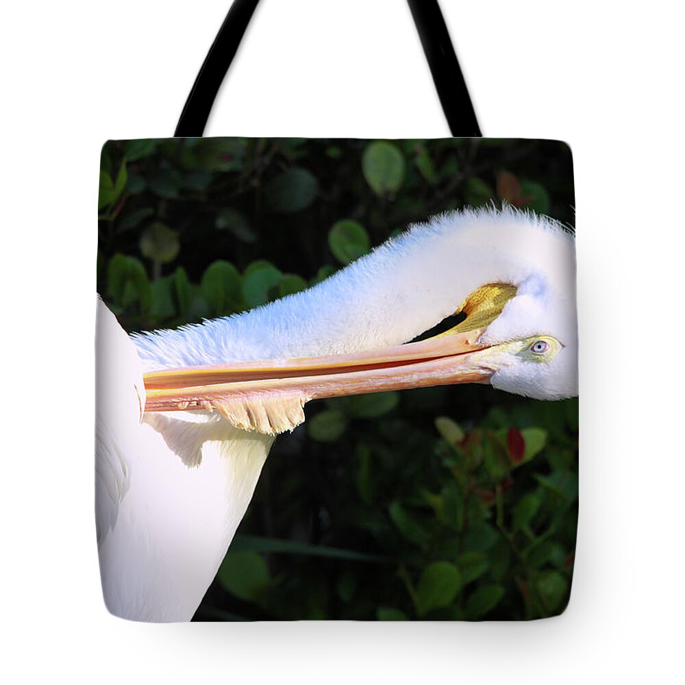 Pelican Tote Bag featuring the photograph Mr Pelican by Scott Burd