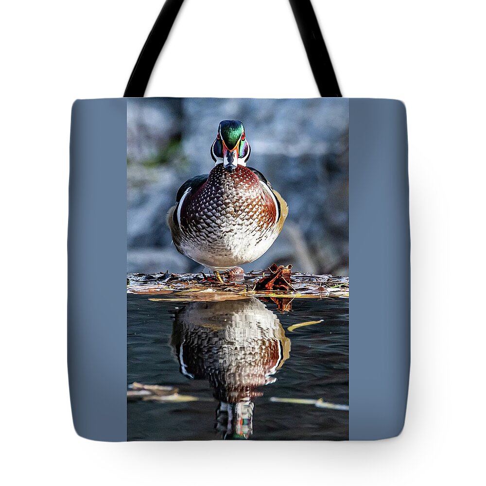 Wood Tote Bag featuring the photograph Mr. Woody by Brian Shoemaker
