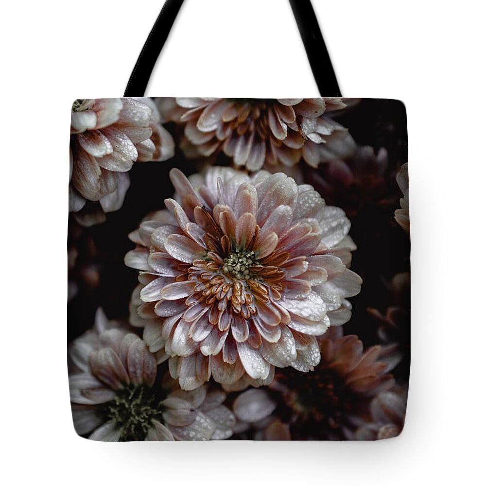 Photo Tote Bag featuring the photograph Mums by Evan Foster