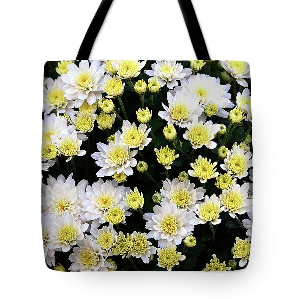 Flowers Tote Bag featuring the digital art Mums The Word by Larry Nader
