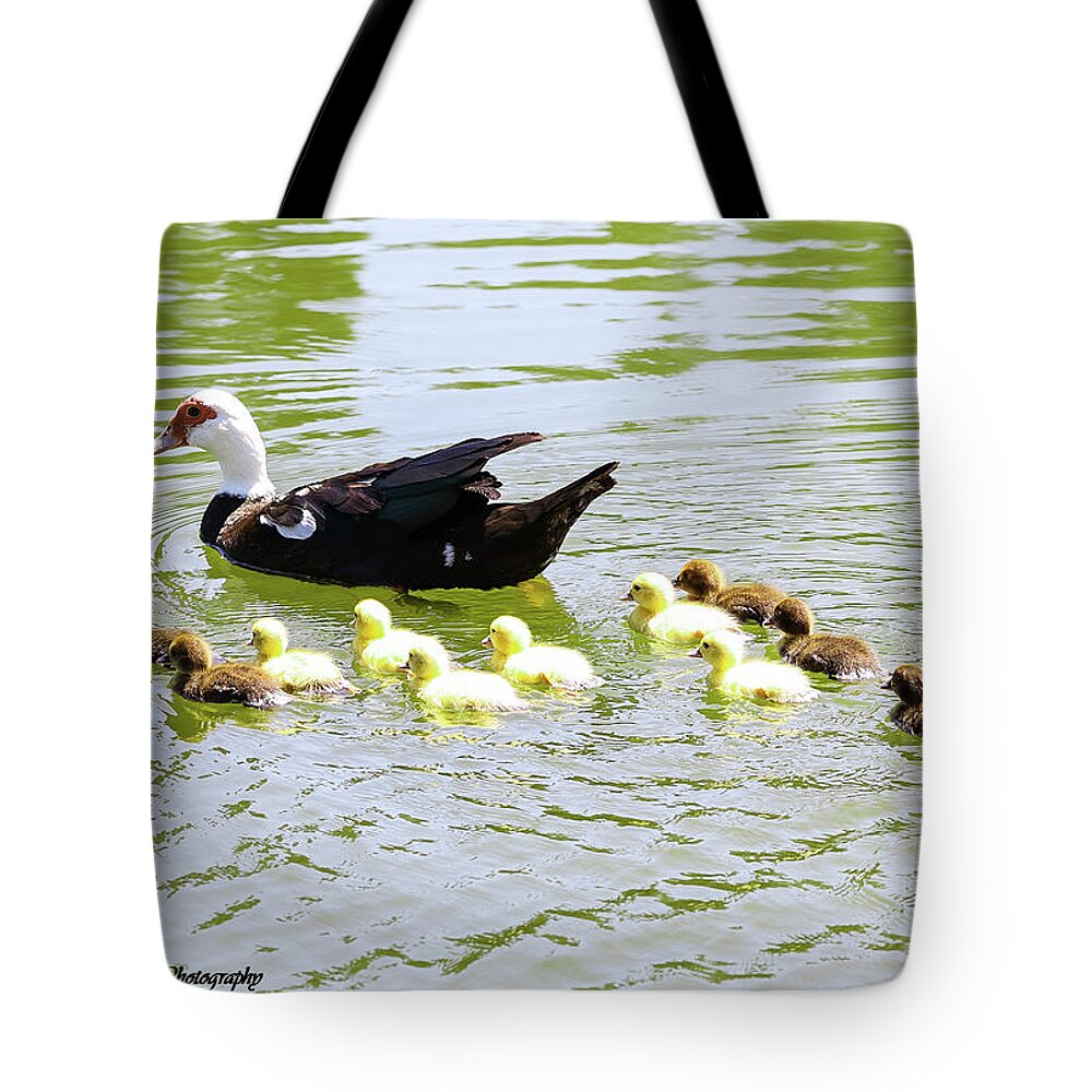 Ducks Tote Bag featuring the photograph Muscovy duck and ducklings by Tahmina Watson