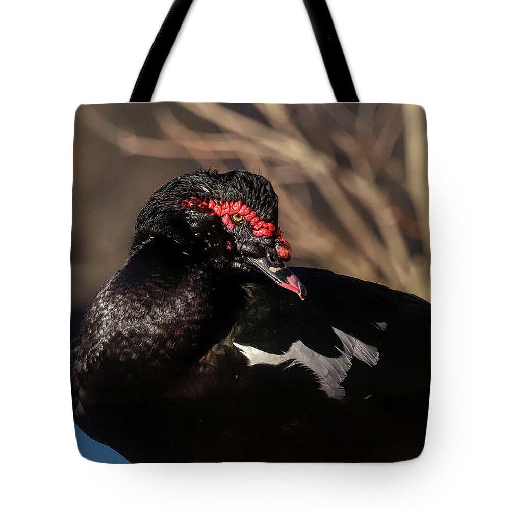 Duck Tote Bag featuring the photograph Muscovy Duck Stare by Ron Grafe