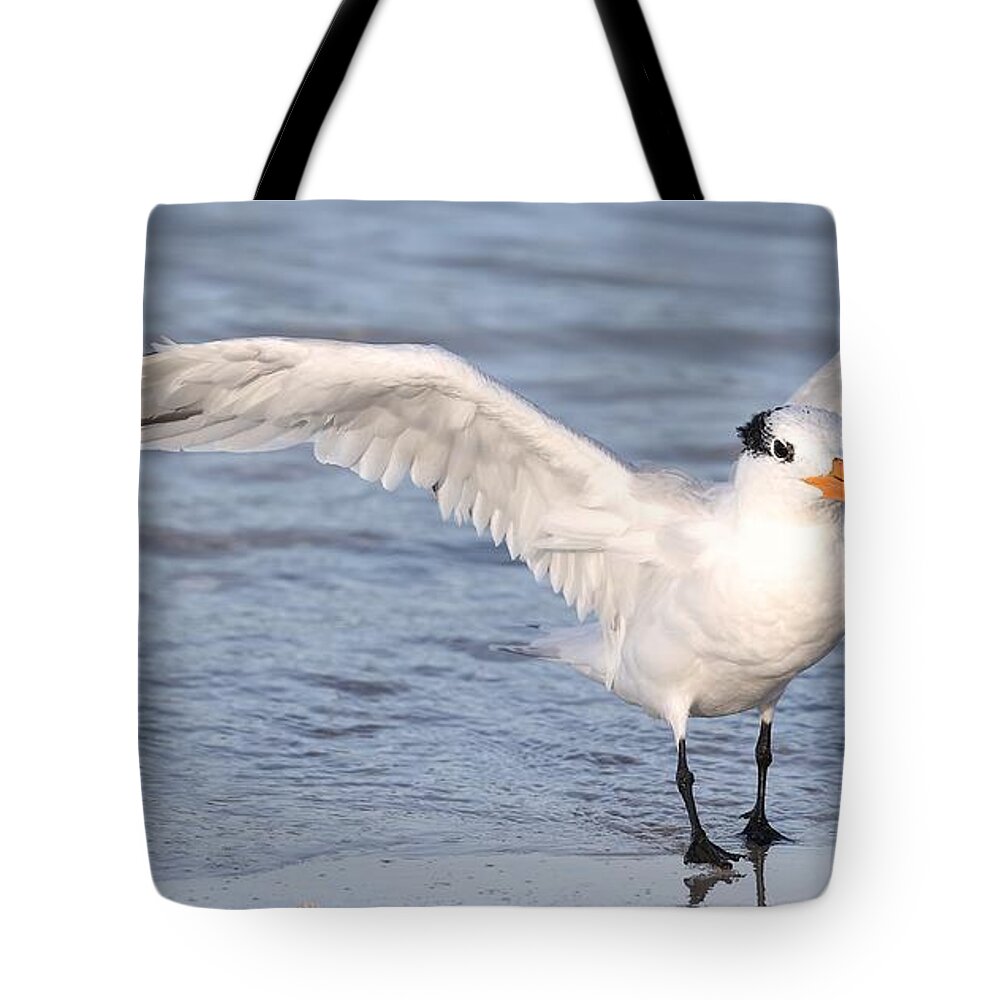 Royal Terns Tote Bag featuring the photograph Muscular Wings 2 by Mingming Jiang