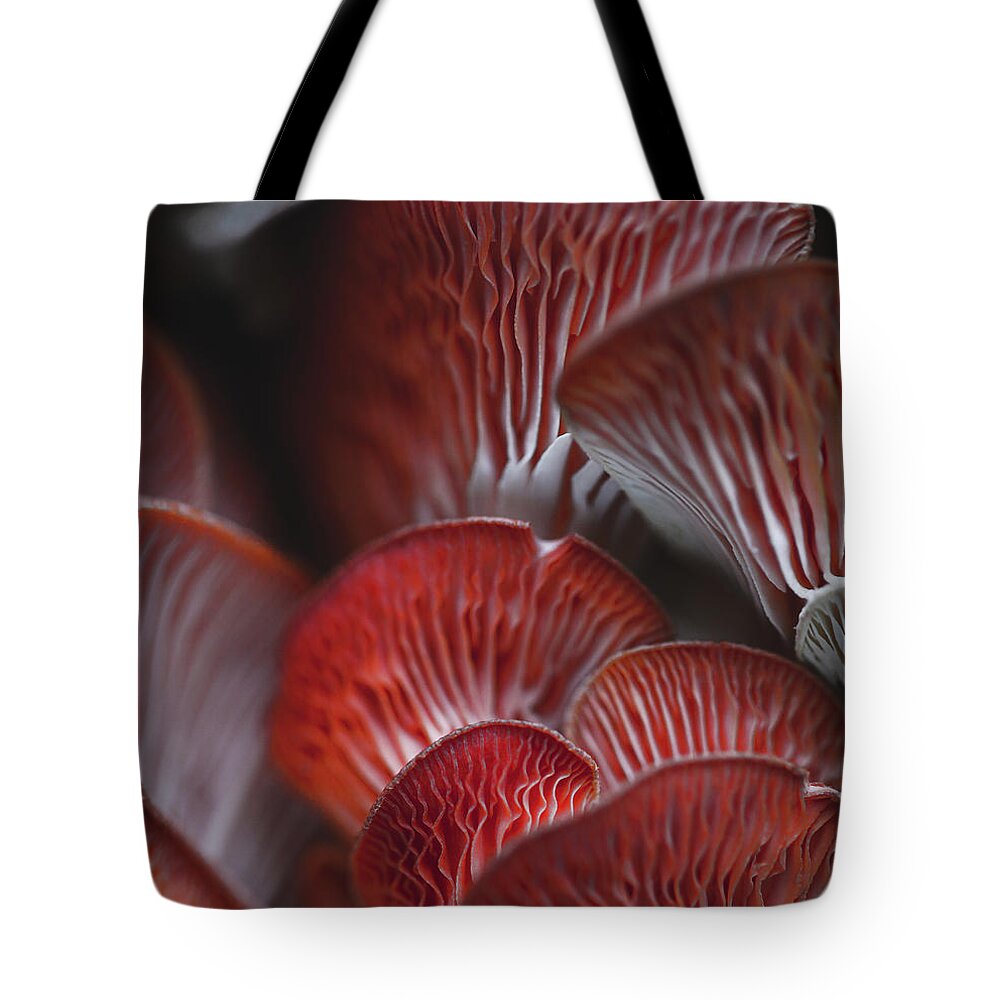 Mountain Tote Bag featuring the photograph Mushroom Macro by Go and Flow Photos