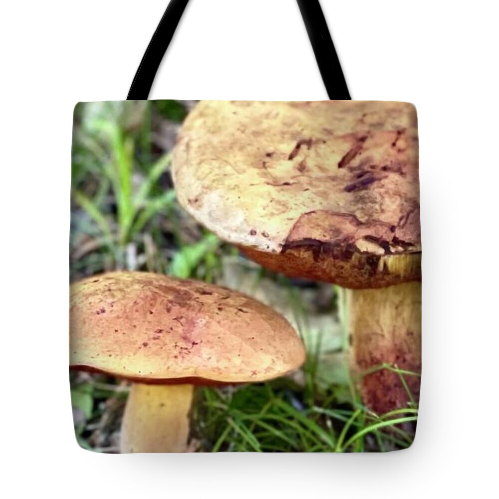Mushrooms Tote Bag featuring the photograph Mushrooms by Deena Withycombe