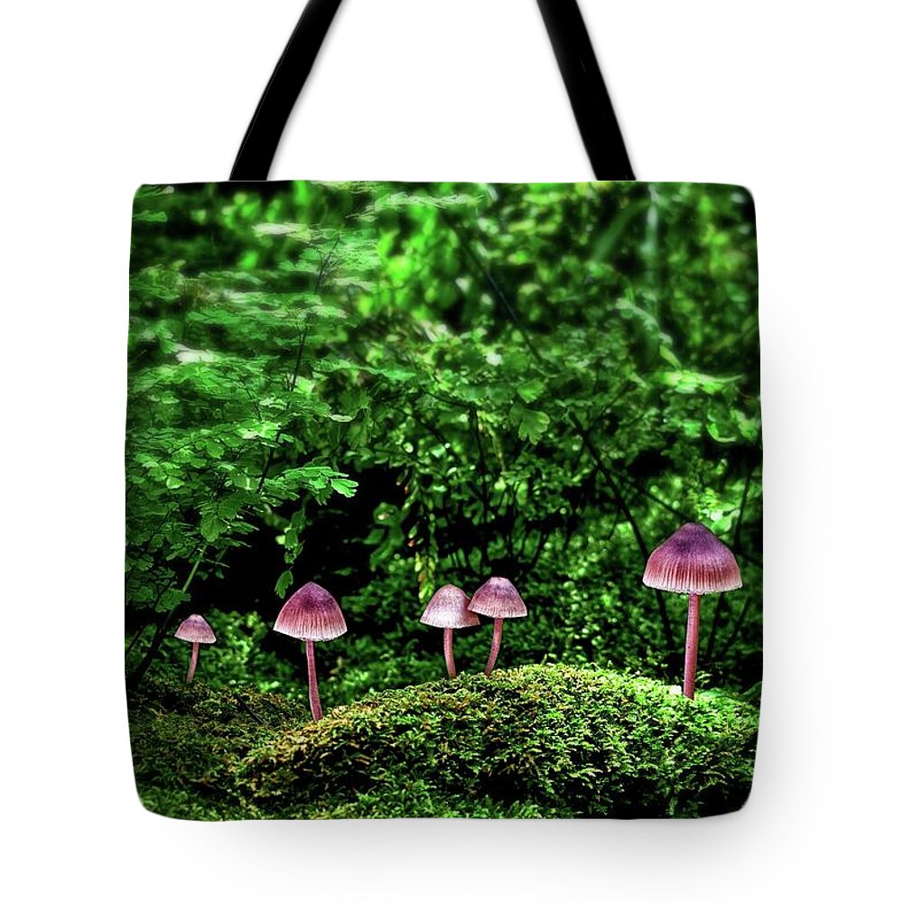 Know your Fungi Eco Friendly Tote