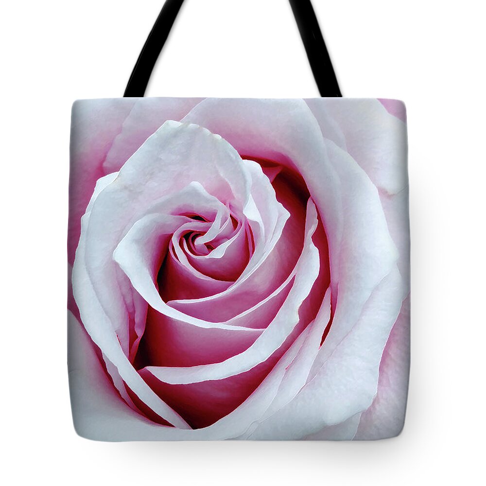 Rose Tote Bag featuring the photograph Muted Pink Old Fashioned Rose by Amy Dundon
