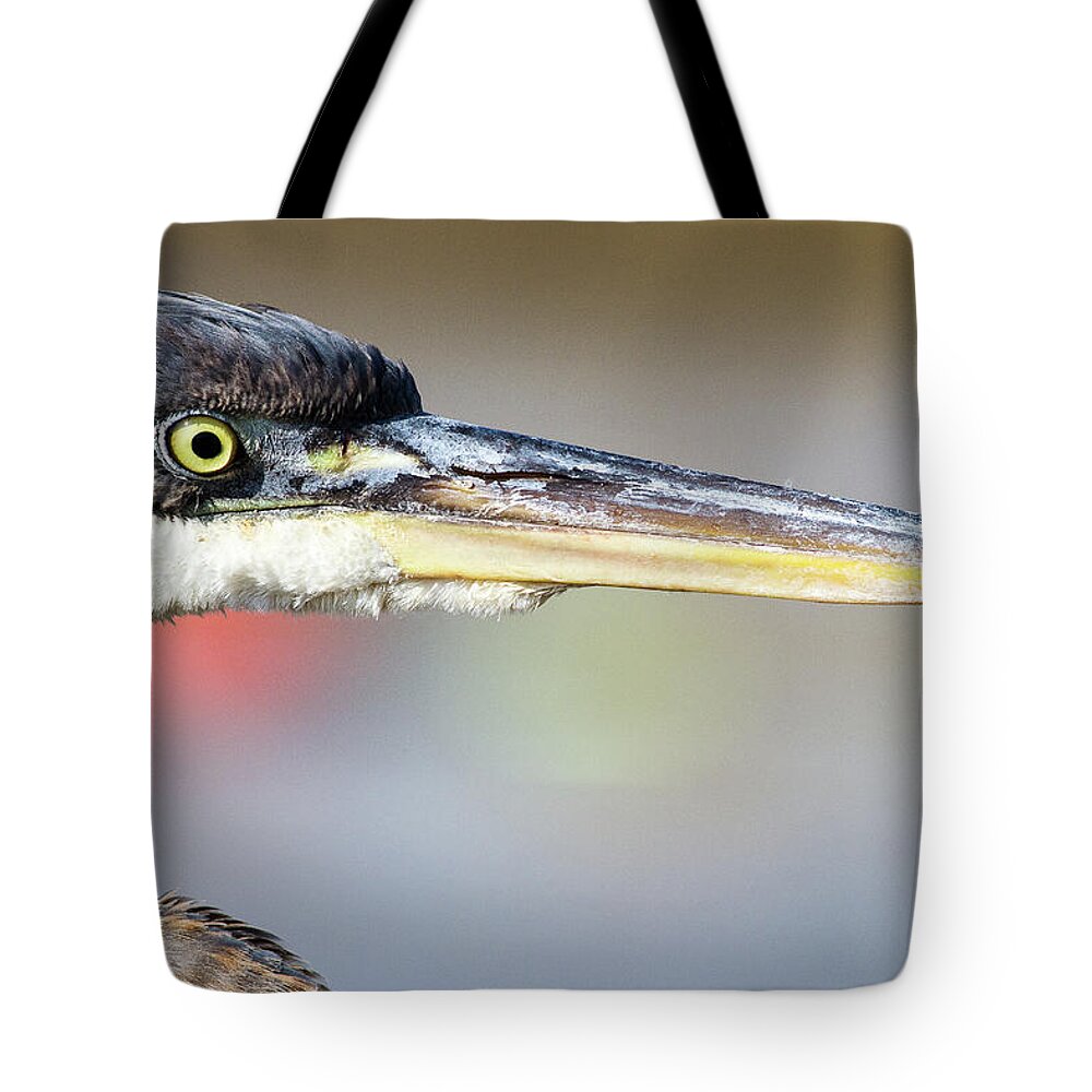Great Blue Heron Tote Bag featuring the photograph My Best Side by Annette Hugen