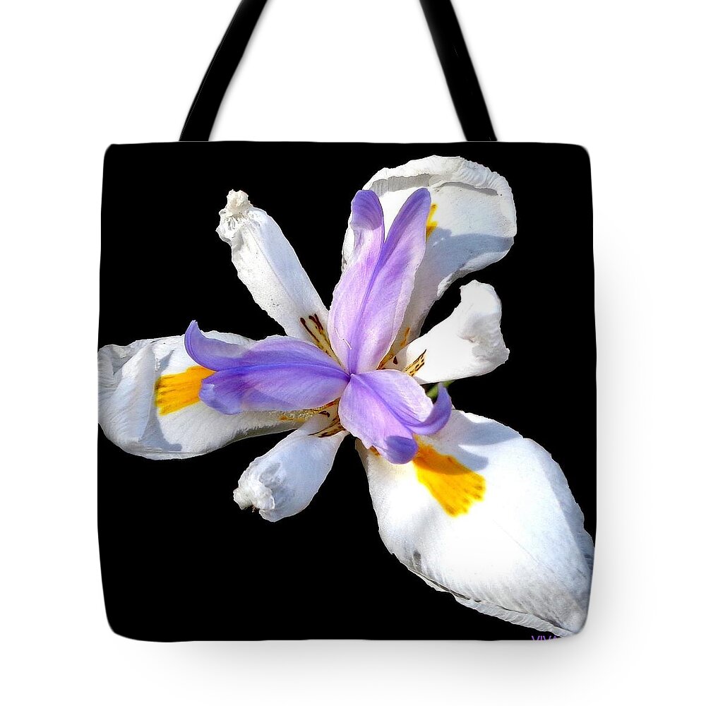 Clementine Tote Bag featuring the photograph My Darling Clementine by VIVA Anderson