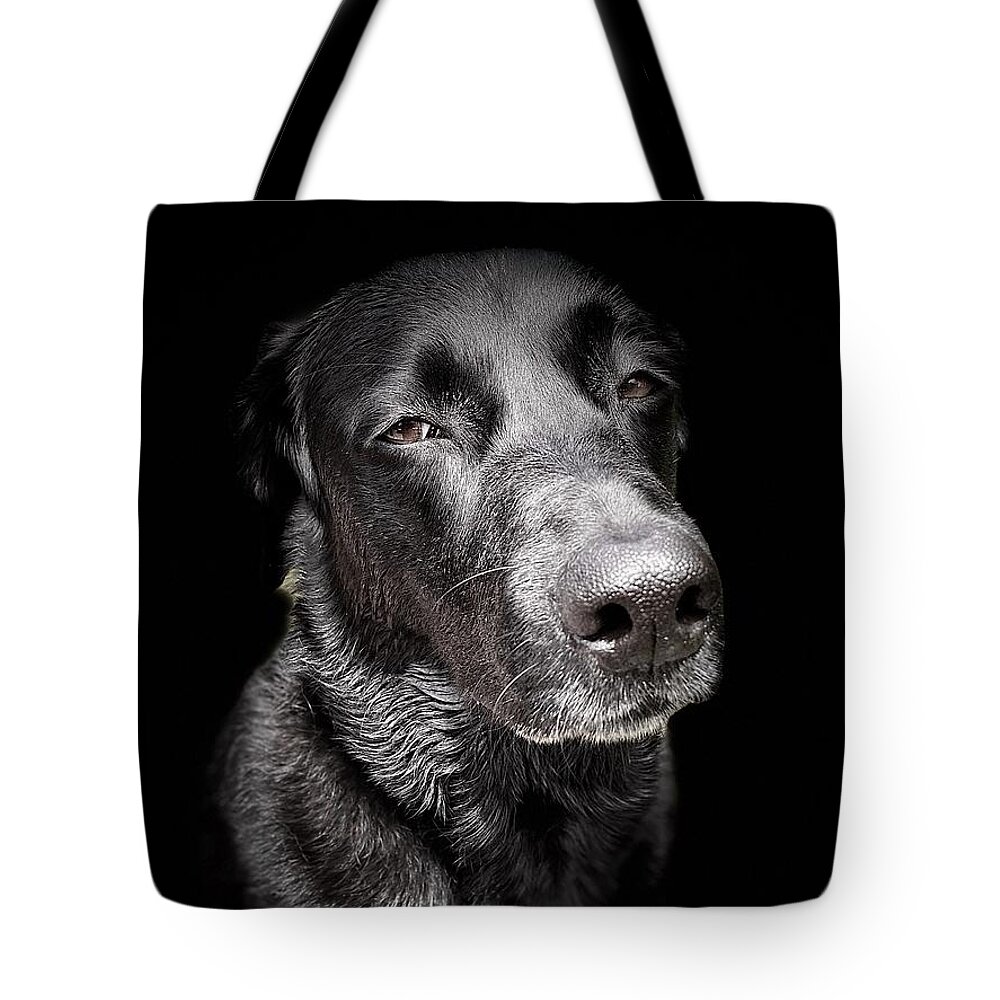 Dog Tote Bag featuring the photograph My Dog Darby by David Letts