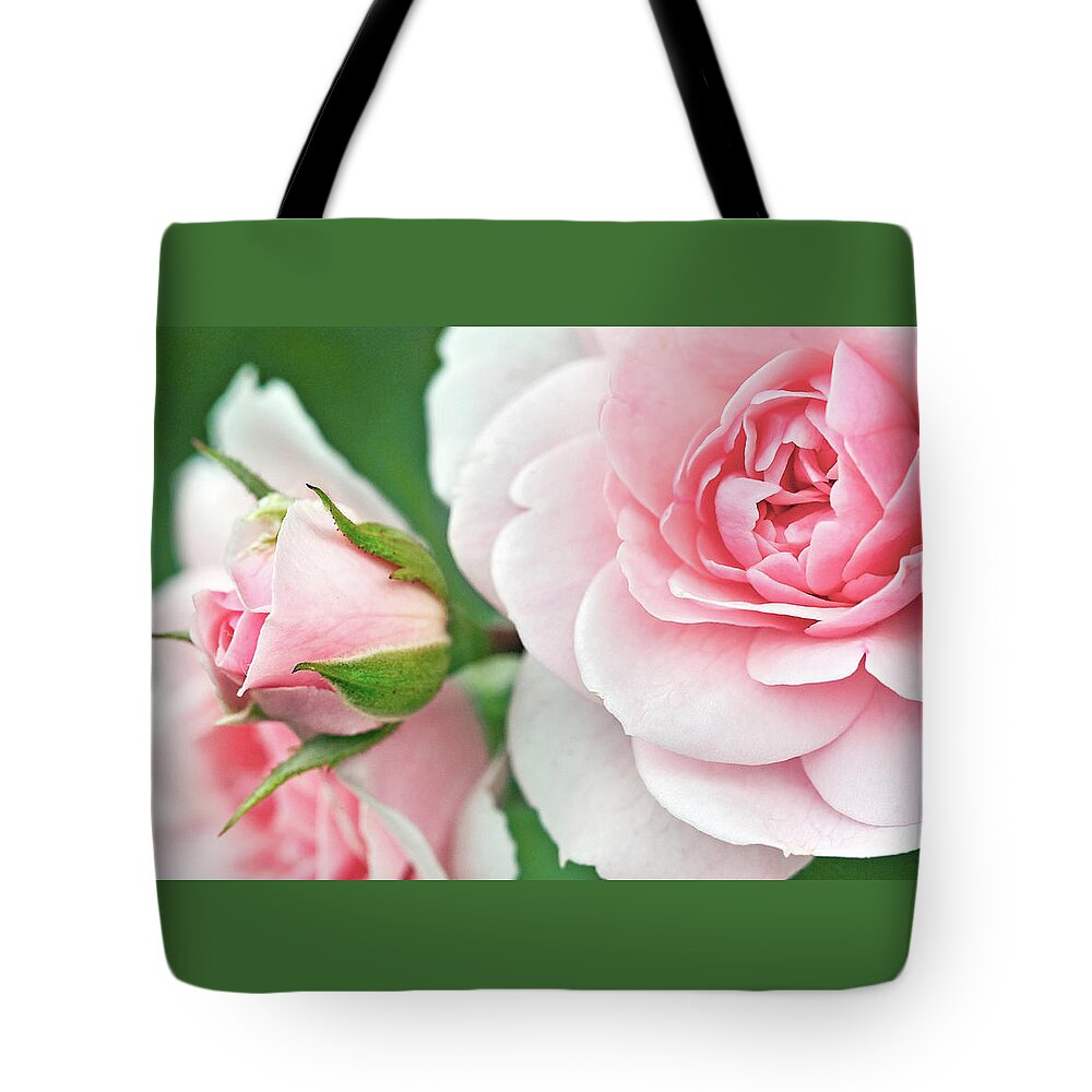 Rose Tote Bag featuring the photograph My Mothers Garden Rose by Jill Love