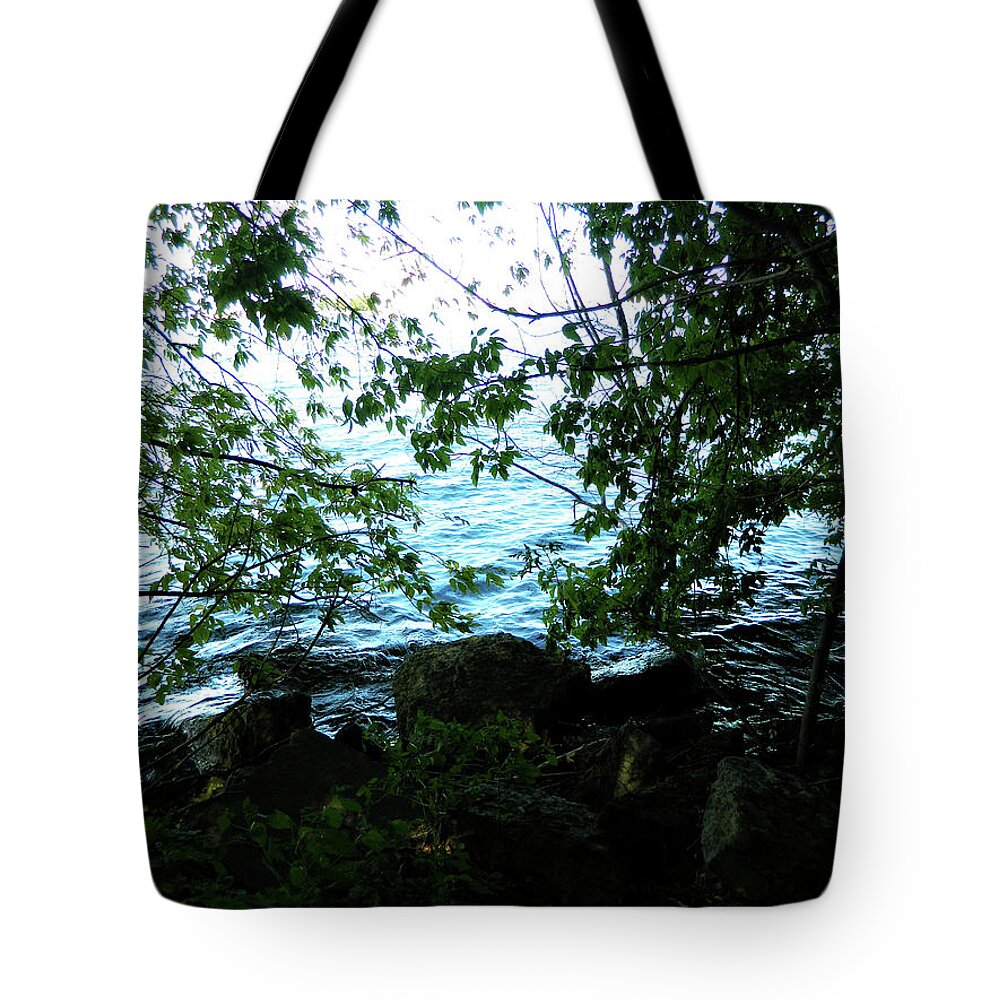 My New Spot Tote Bag featuring the photograph My New Spot 2 by Cyryn Fyrcyd