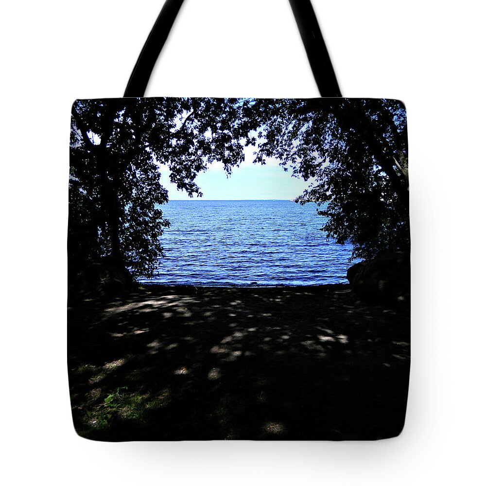 My New Spot Tote Bag featuring the photograph My New Spot 3 by Cyryn Fyrcyd
